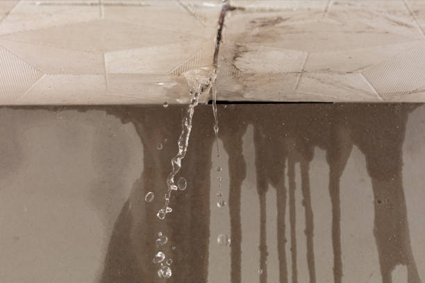 Professional Burst Pipe Cleanup technician working in Gold Canyon, AZ